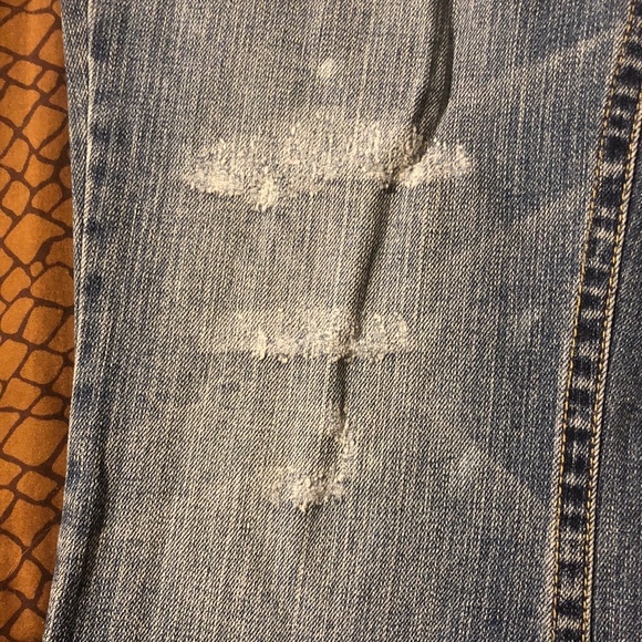 Florida Gator Jeans by Alyssa Milano Touch - Picture 4 of 7